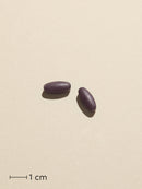 Biosym OmniGravid 120 Tabl.