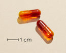 Biosym CurcuSym Boost 100 Kaps Actual capsule size (scale: 1 cm)