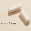 Biosym Magnesium+300 Citrat 160 Kaps Actual capsule size (scale: 1 cm)