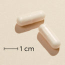 Biosym OmniVita L-Carnitin 100 Kaps Actual capsule size (scale: 1 cm)