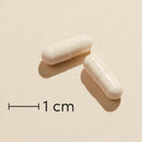Biosym Symbioflor+ 250 Kaps  Actual capsule size (scale: 1 cm)