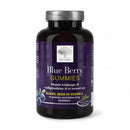 New Nordic Blueberry Gummies 60 Tabl front view